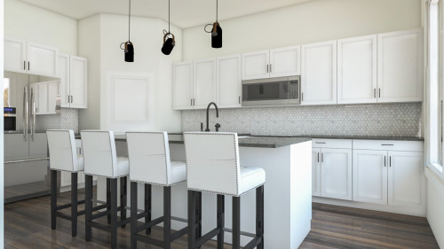 ADU-kitchen