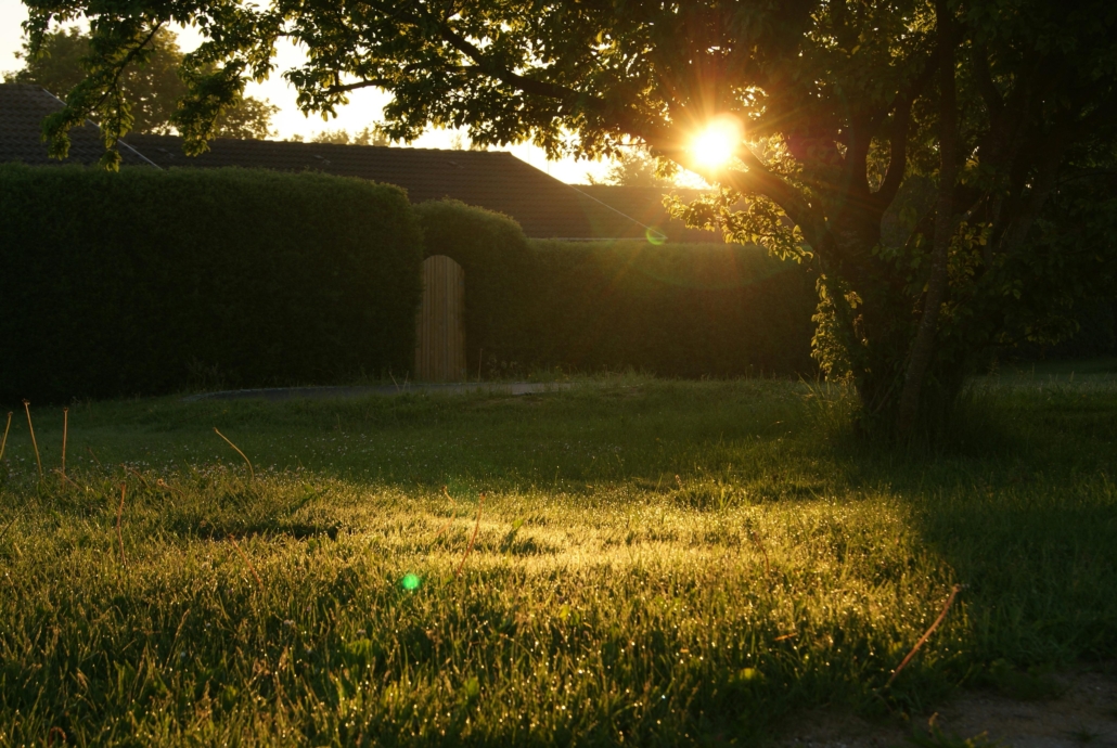 Build a Backyard Home